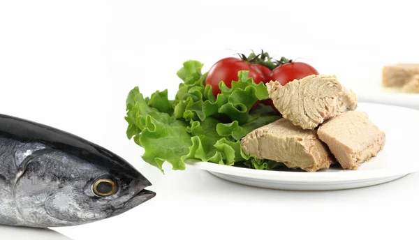 Рыба тунец перед тарелкой с салатом — стоковое фото