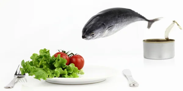 Tuna fish jumping out of the can into the plate — Stock Photo, Image