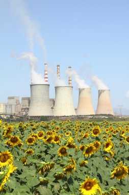 Sunflowers field and power plant clipart