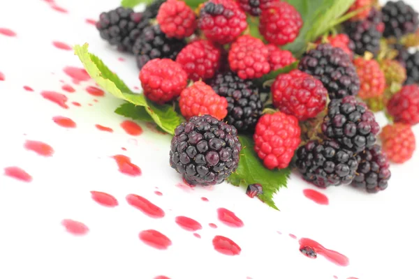 육즙 신선한 나무 딸기 및 검은 딸기 — 스톡 사진