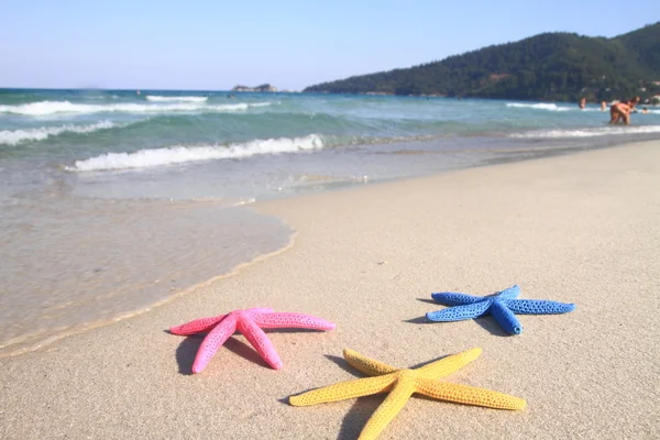 Barevná Hvězdice na pláži v létě — Stock fotografie