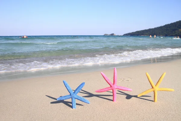 Coloridas estrellas de mar en la playa en verano — Foto de Stock