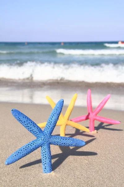 Bunte Seesterne am Strand im Sommer — Stockfoto