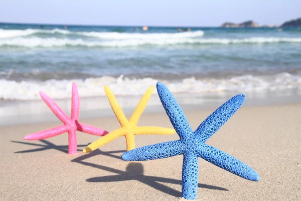 Färgglada sjöstjärna på stranden på sommaren — Stockfoto