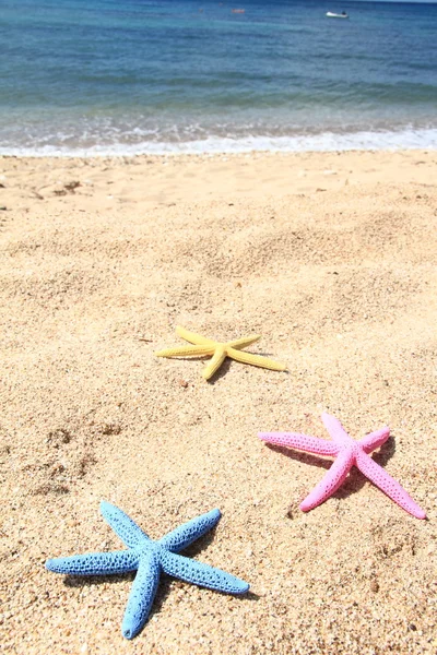 Stelle di mare colorate sulla spiaggia in estate — Foto Stock