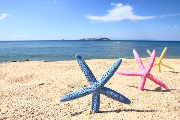 Estrela-do-mar colorida na praia no verão — Fotografia de Stock
