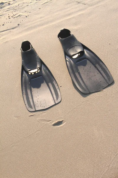 浜の砂に足ひれ — ストック写真