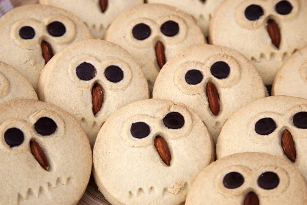 Biscoitos de coruja — Fotografia de Stock