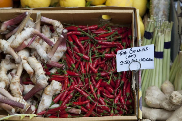 Thajská chilli papričky — Stock fotografie