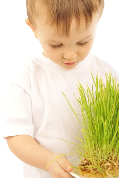Маленький мальчик с зеленой травой — стоковое фото