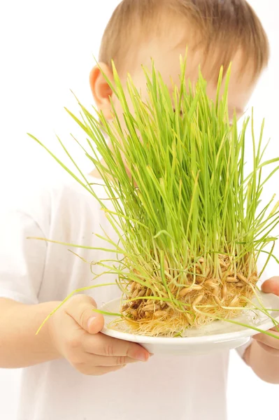 Маленький хлопчик з зеленою травою — стокове фото