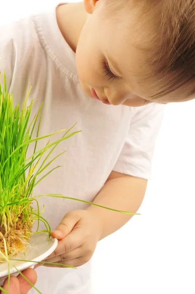 Little boy with green grass — Stock Photo, Image