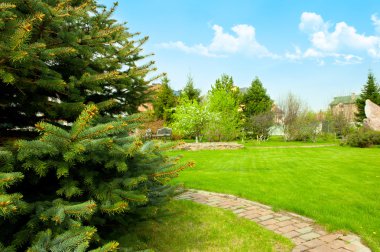 View of landscaped backyard of home clipart