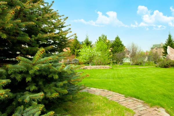 stock image View of landscaped backyard of home