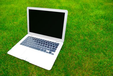 çim üstünde laptop