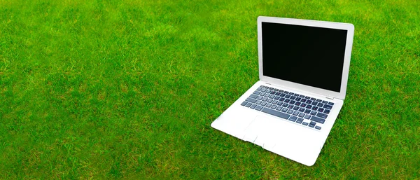 Laptop on grass — Stock Photo, Image