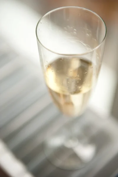 Beyaz Şarap Kadehi — Stok fotoğraf