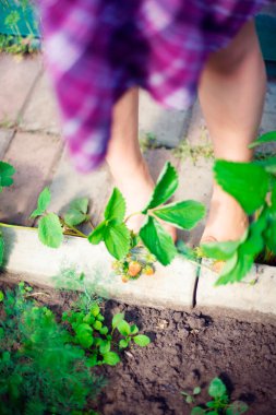 Artistic lifestyle photo of cute little girls legs outdoor clipart