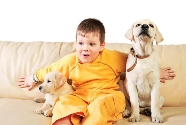 Schöner kleiner Junge spielt mit seinen zwei Hunden gegen weißen Hintern — Stockfoto