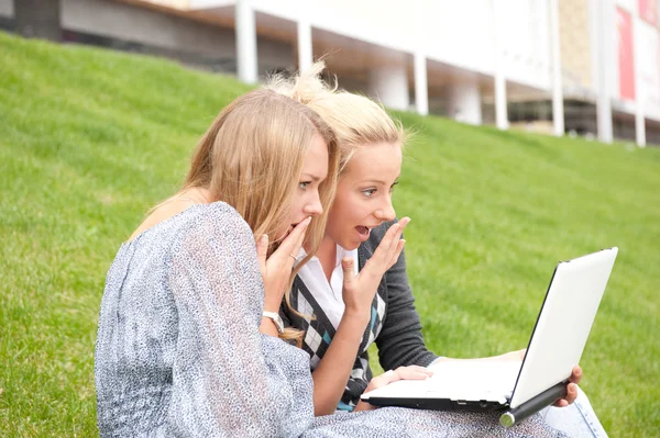 Портрет двох усміхнених жінок, які використовують ноутбук на зеленому лузі — стокове фото