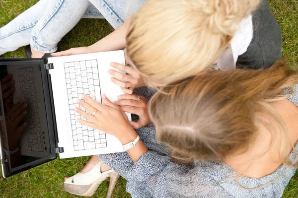 Portret van de twee lachende vrouw met behulp van laptop op een groene weide bij — Stockfoto