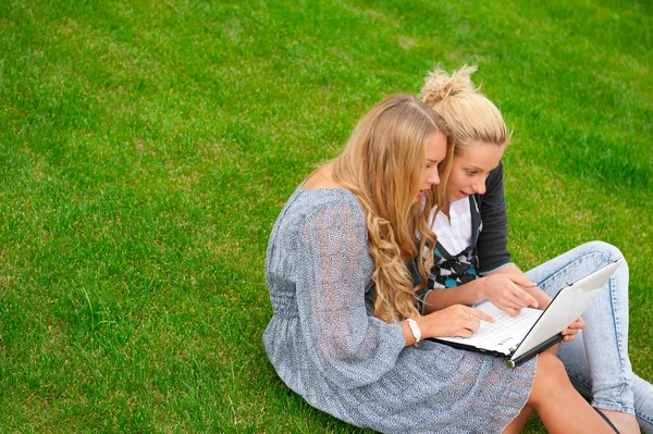 Portrait of two smiling women using laptop on a green meadow at — Stock Photo, Image