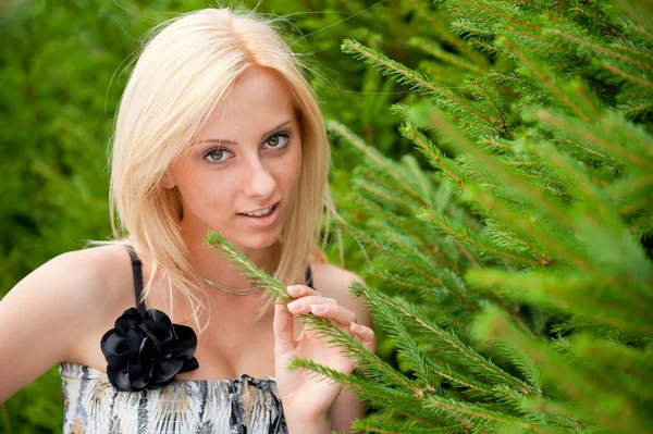 Portréja egy szexi fiatal nő mosolyog egy parkban, fenyő ellen tr — Stock Fotó