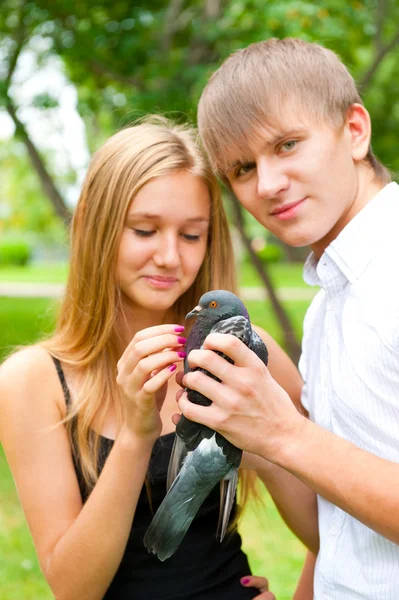 Retrato de jovem casal bonito segurando uma pomba no parque — Fotografia de Stock