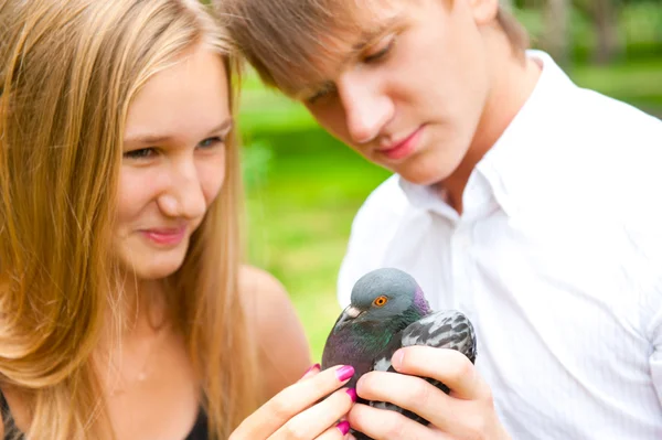 Retrato de una joven pareja guapa sosteniendo una paloma en el parque — Foto de Stock