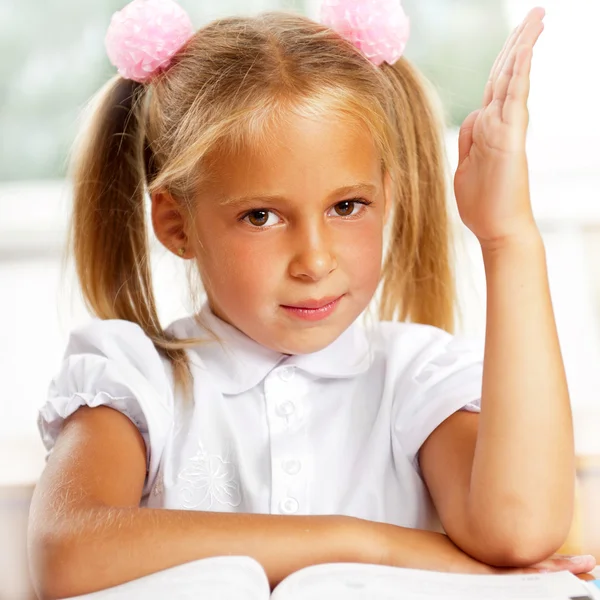 Portrait of a young girl in school at the desk. — Stock Photo, Image