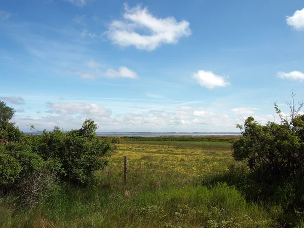Malebný pohled krajiny na ostrově amrum — Stock fotografie