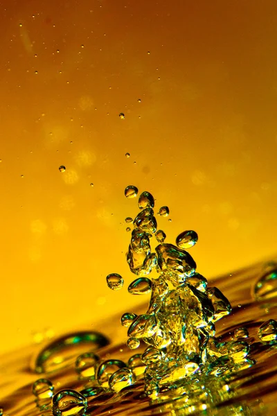 Altın çekik — Stok fotoğraf
