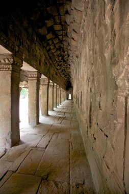 ta prohm Tapınağı Kamboçya