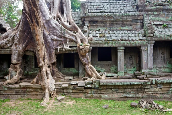 Templo Preah Khan, Camboja — Fotografia de Stock