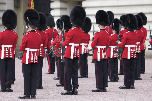 Royal Guard Buckingham Palace — Stock Photo, Image