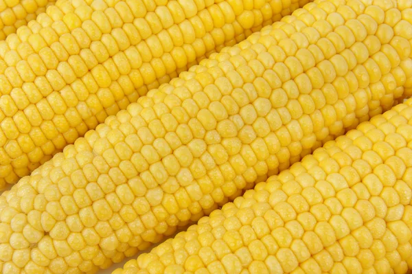 Ears of Corn — Stock Photo, Image
