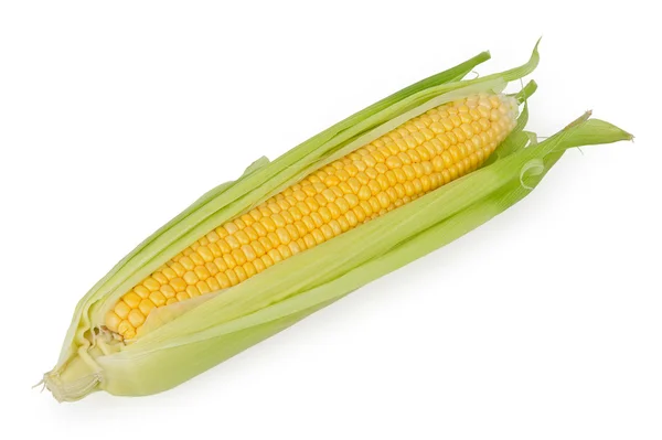 Mais auf dem Maiskolben Stockbild