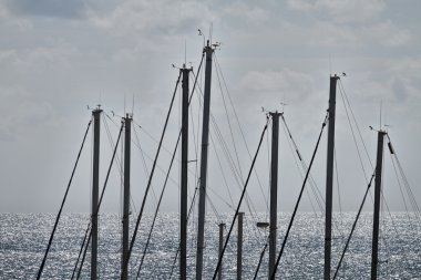 İtalya, siciliy, Akdeniz, marina di ragusa, yelkenli tekne direkleri