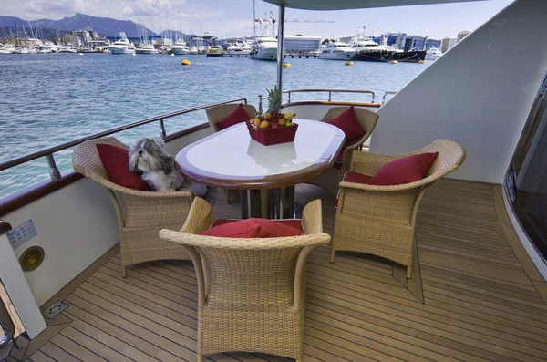 Italia, Toscana, Viareggio, Tecnomar Nadara 88 Fly yacht di lusso — Foto Stock