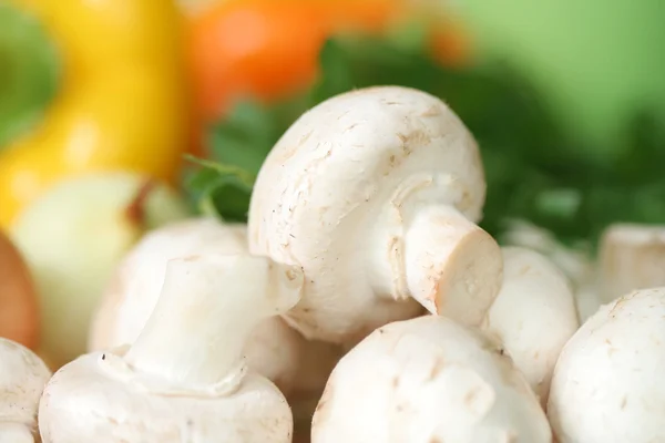 stock image Mushroom