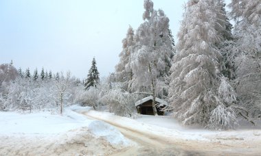 Winter in the german Harz clipart