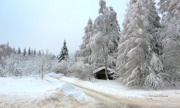 L'hiver dans le Harz allemand — Photo