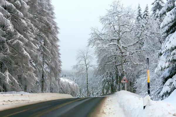 Invierno en el Harz alemán — Foto de Stock