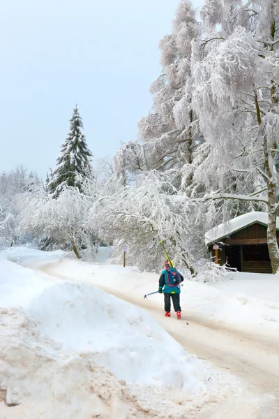 L'hiver dans le Harz allemand — Photo