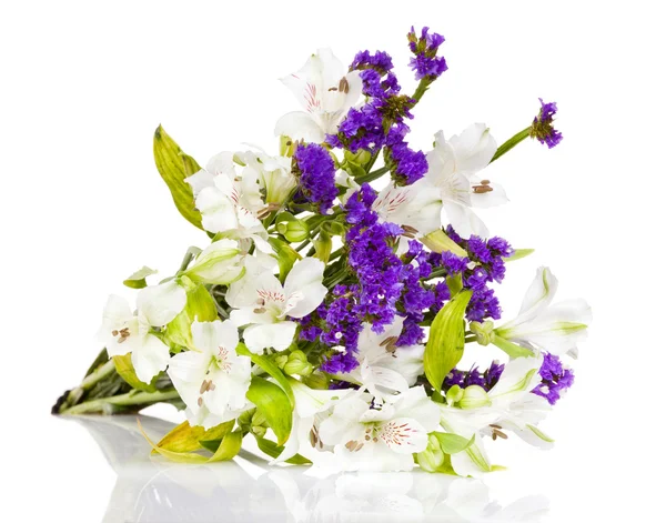 Blüten weiße Lilie — Stockfoto