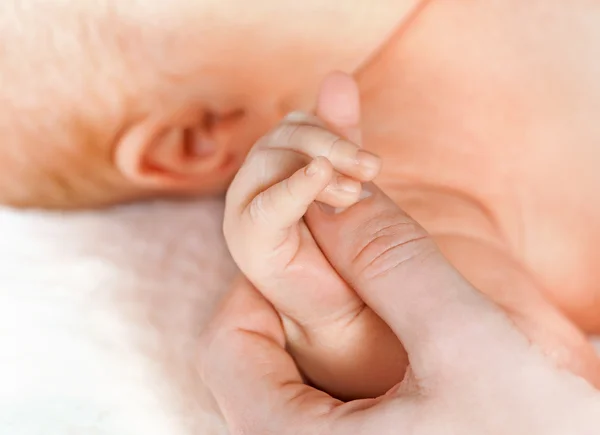 Baby bedrijf moeder's hand — Stockfoto