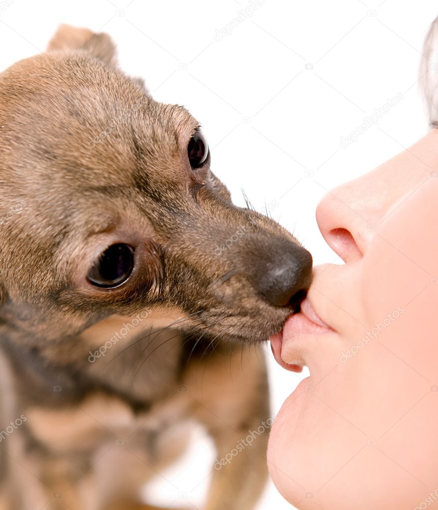 A little dog kissing a woman