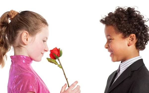 Pojke att ge en ros till en flicka — Stockfoto