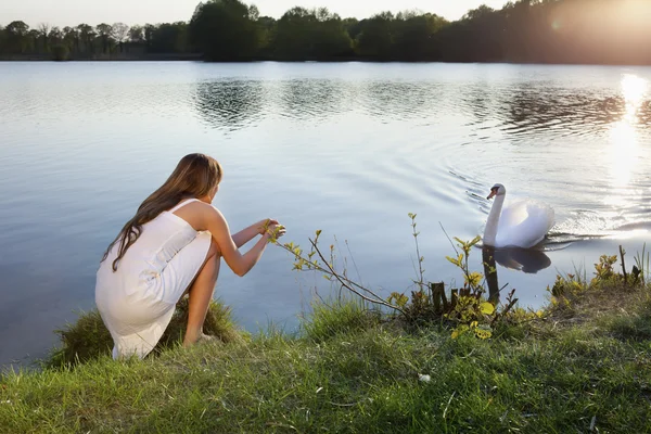 물 백그라운드와 백조에 금발 여자 — 스톡 사진