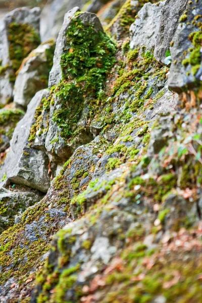 Old stone with lichen — Stock Photo, Image